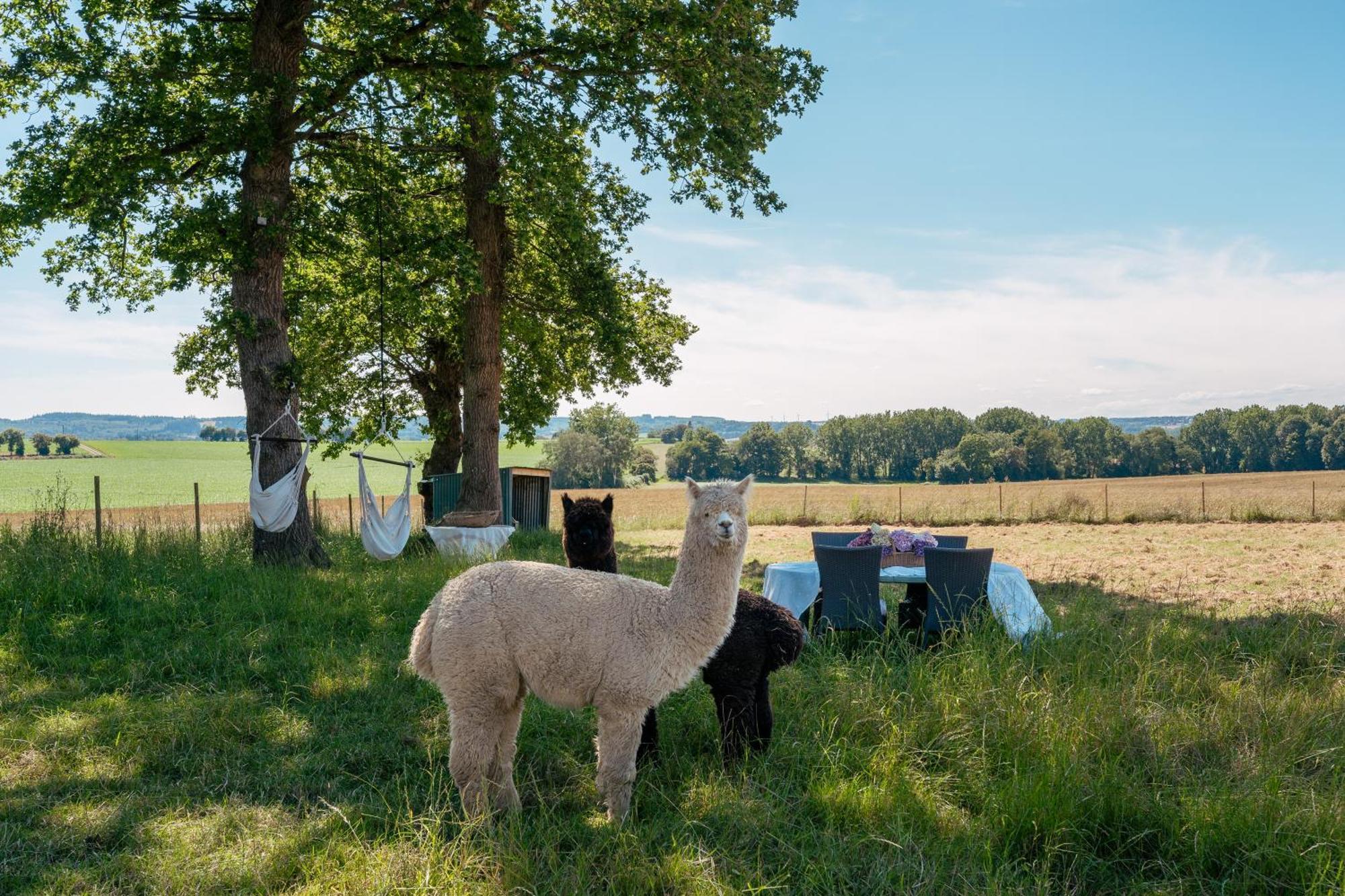 Demeures & Chateaux Le Clos Luly Neulliac ภายนอก รูปภาพ